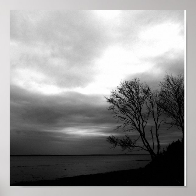 Affiches Baie De Fundy (Devant)