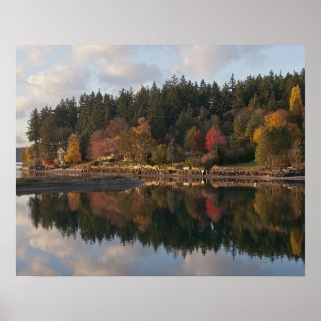 Affiches Baie Fletcher (Devant)