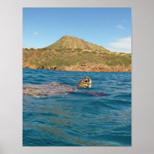 Affiches Baie Hawaï de Hanauma
