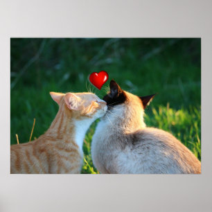 Affiches baiser