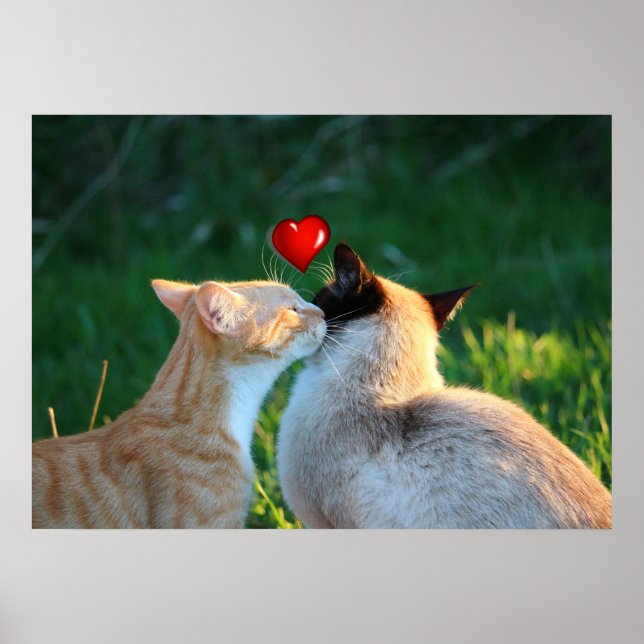 Affiches baiser (Devant)