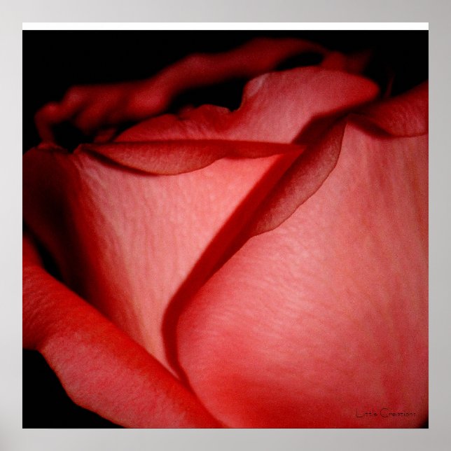 Affiches Baiser rouge (Devant)