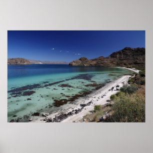 Affiches Baja Conception Bay