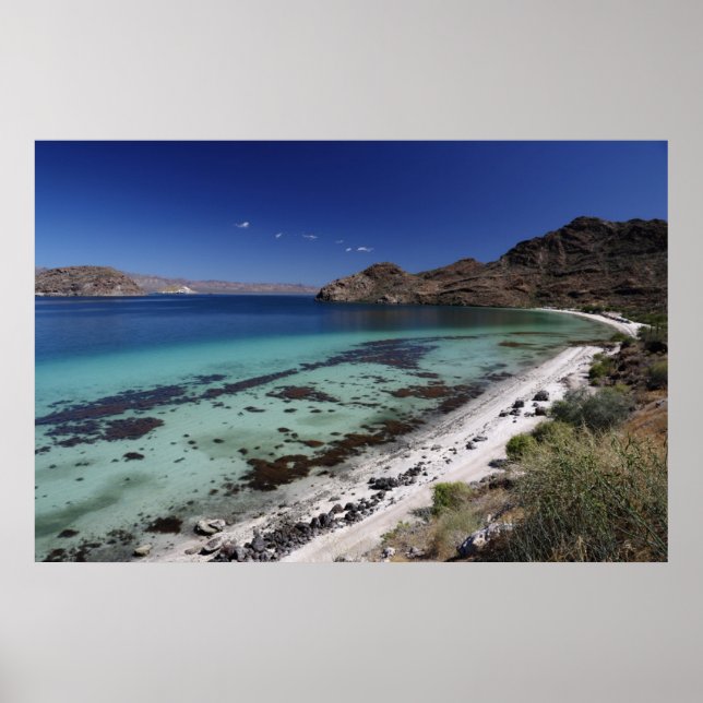 Affiches Baja Conception Bay (Devant)