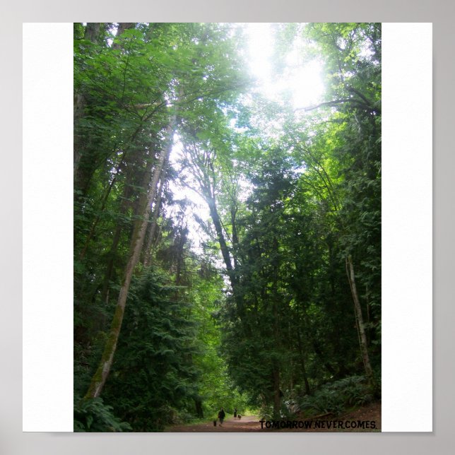 Affiches Balade Dans Les Bois (Devant)