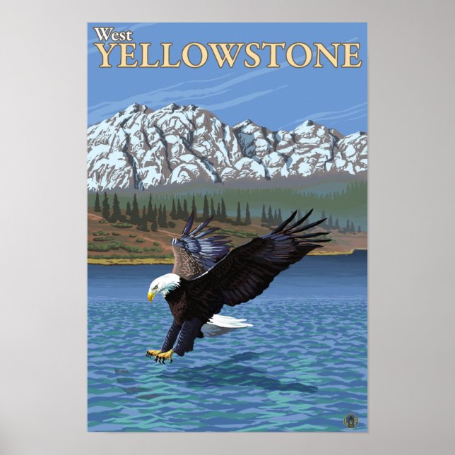Affiches Bald Eagle Diving - West Yellowstone, MT (Devant)
