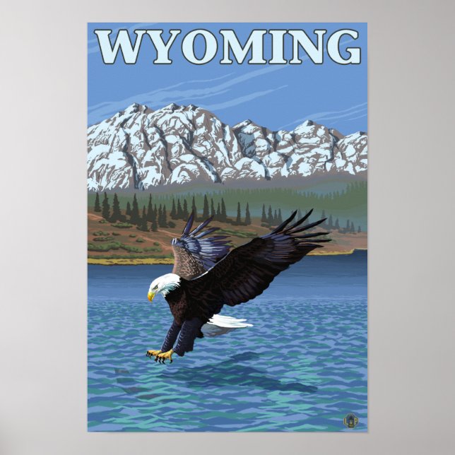 Affiches Bald Eagle Diving - Wyoming (Devant)