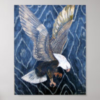 Bald Eagle Scratch