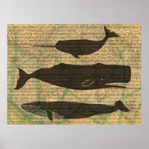 Affiches Baleine Nautique Antique : Vie Maritime Vintage