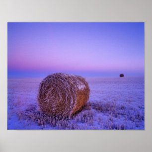 Affiches Balles de paille en hiver près de Cartwright Nord