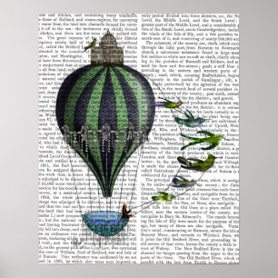 Affiches Ballons à air chaud et oiseaux