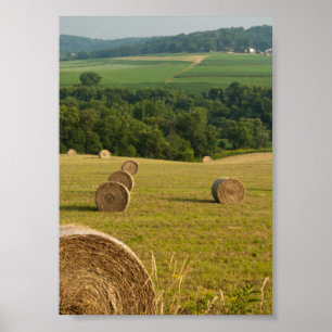Affiches Ballots de foin de la campagne