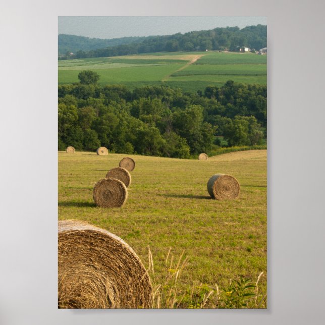 Affiches Ballots de foin de la campagne (Devant)