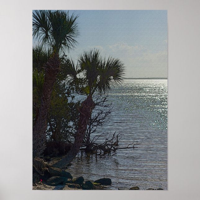 Affiches Banana River Palm Trees Painterly (Devant)