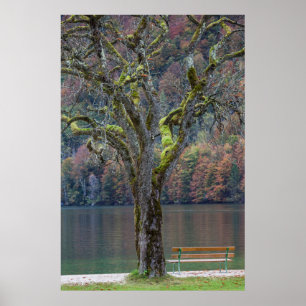 Affiches Banc calme le long d'un lac, Allemagne