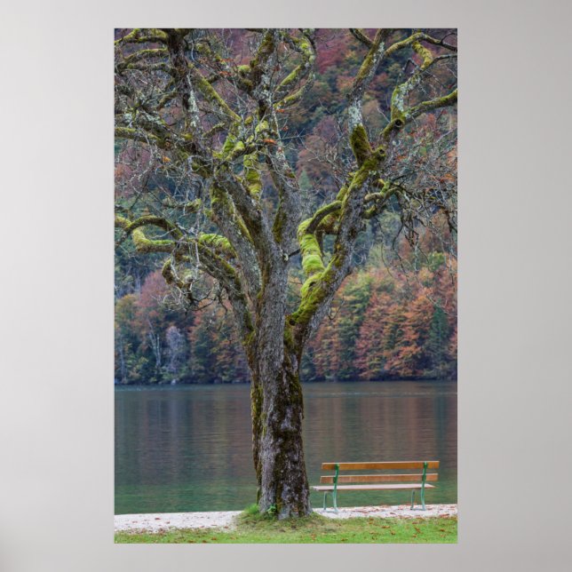 Affiches Banc calme le long d'un lac, Allemagne (Devant)