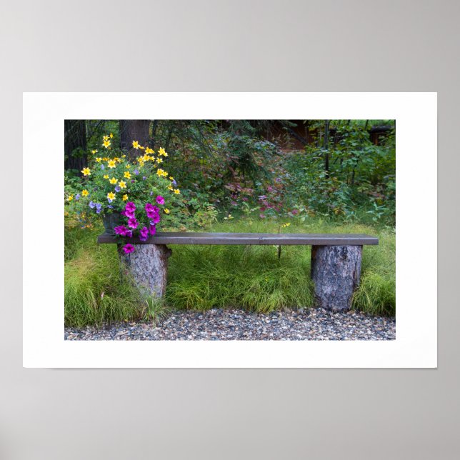 Affiches Banc Rustique Et Seau De Fleurs Photographie (Devant)