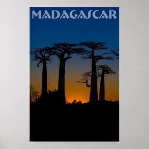 Affiches Baobabs de Madagascar