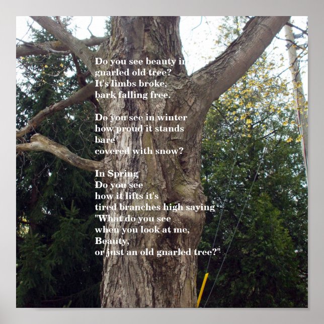 Affiches Bare Tree Poem for Arbor Day (Devant)