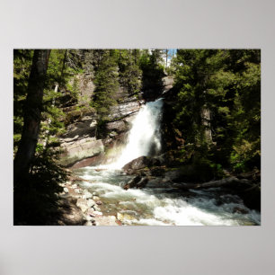 Affiches Baring Falls at Glacier National Park