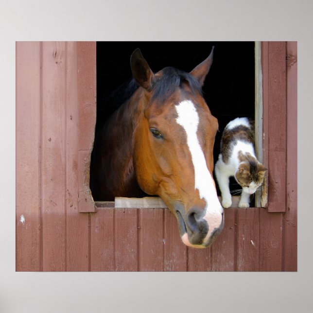 Affiches Barn Buddies (Devant)