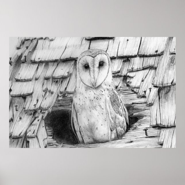 Affiches Barn Owl (Devant)