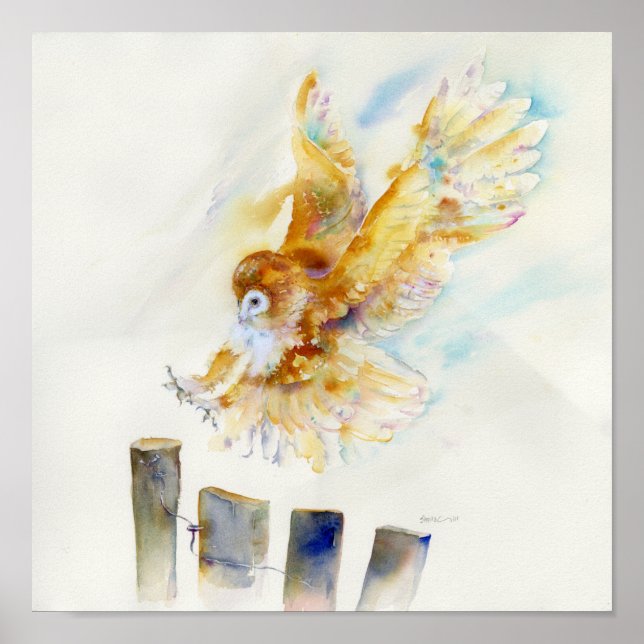 Affiches Barn Owl (Devant)