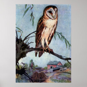 Affiches Barn Owl, Farmhouse et Barn
