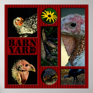 Affiches Barn Yard Montage