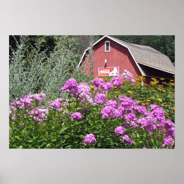 Affiches Barne rouge (Devant)