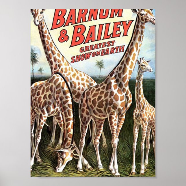 Affiches Barnum & Bailey Giraffes Théâtre rétro (Devant)