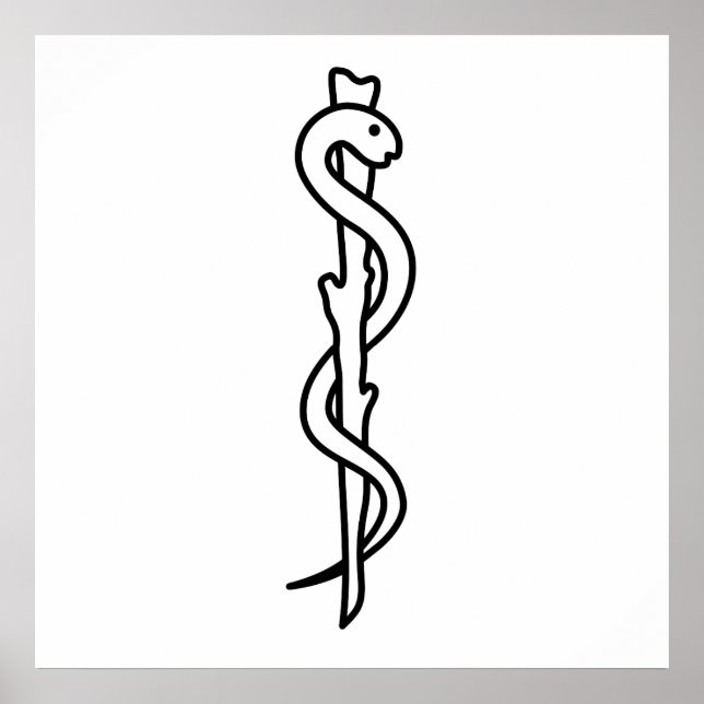 Affiches Barre d'Asclepius (Devant)