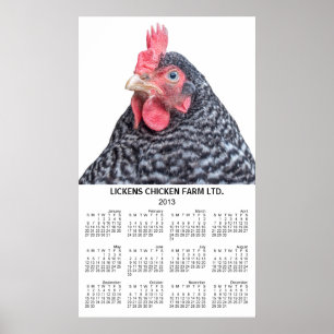 Affiches Barred Rock Chicken Wall Annuel Calender 2013