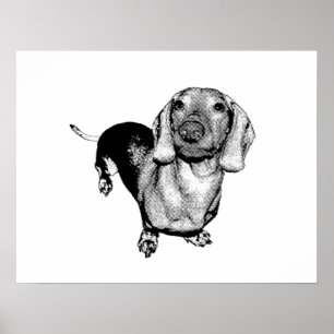 Affiches Basset allemand noir et blanc tramé Doxie de phot