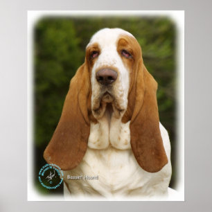 Affiches Basset Hound 9L9D-22_2