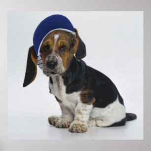 Affiches Basset Hound Chiot Avec Visiteur
