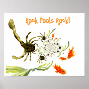 Affiches Bassin de rochers à la mer Drôles de crabes poisso