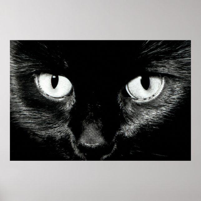 Affiches Bast (Devant)