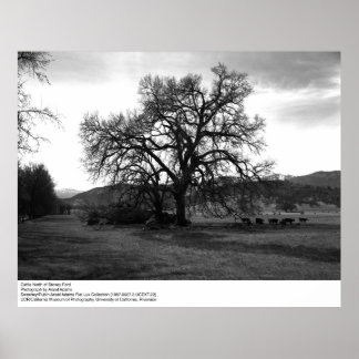Affiches Bataille au nord de Stoney Ford par Ansel Adams