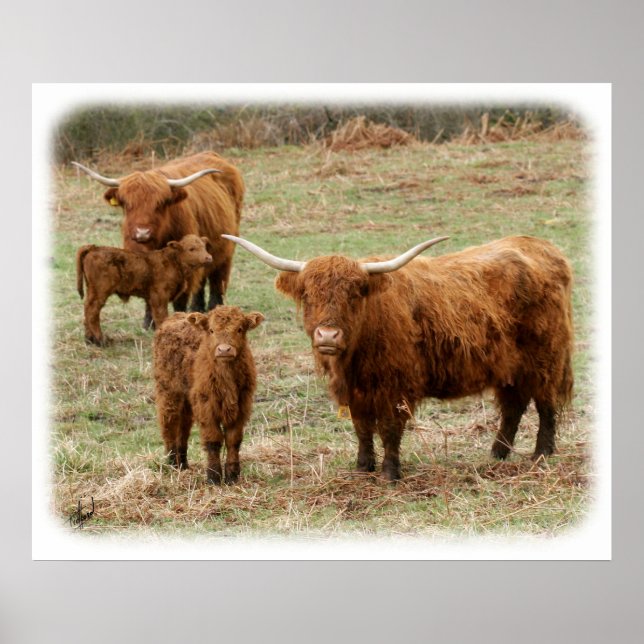 Affiches Bataille de Highland 9Y316D-055 (Devant)