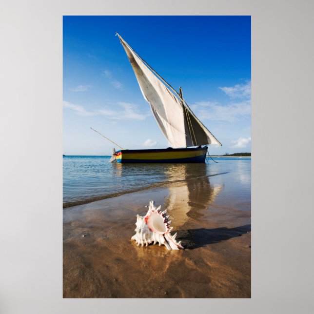 Affiches Bateau À Voile Et Coquille | Mozambique, Benguerra (Devant)