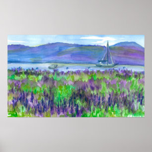 Affiches Bateau à voile Purple Lupines aquarelle Peinture