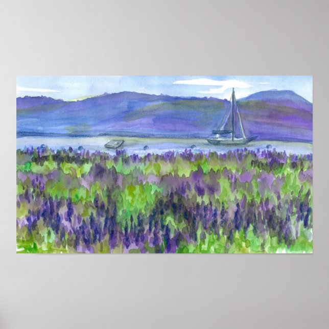 Affiches Bateau à voile Purple Lupines aquarelle Peinture (Devant)