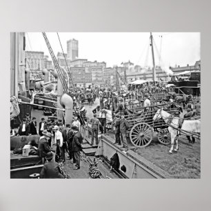 Affiches Bateaux de banane de Baltimore