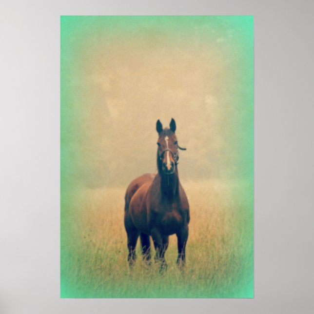Affiches Bay Horse Standing (Devant)