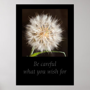 Affiches Be careful what you wish for