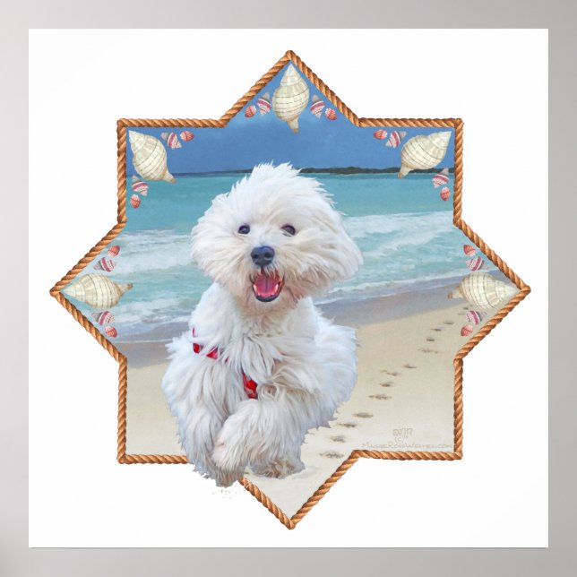 Affiches Beach Run (Devant)