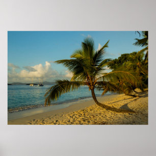 Affiches Beach scenic