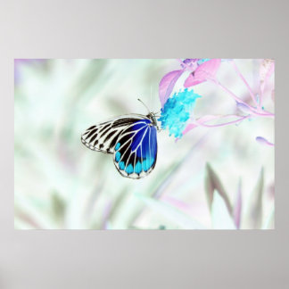 Affiches Beau papillon sur fleur - Photo négative