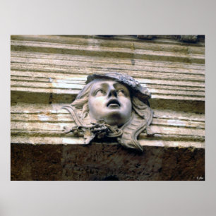 Affiches Beauté de bronze